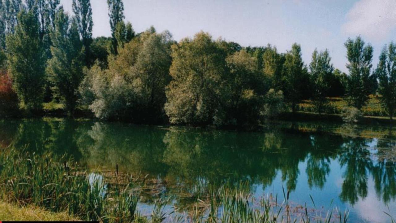 La Decouverte, Jacuzzi, Sauna, Et Terrasse Avec Vue Sur Lac A La Campagne Entre Toulouse Et Auch Villa Catonvielle ภายนอก รูปภาพ