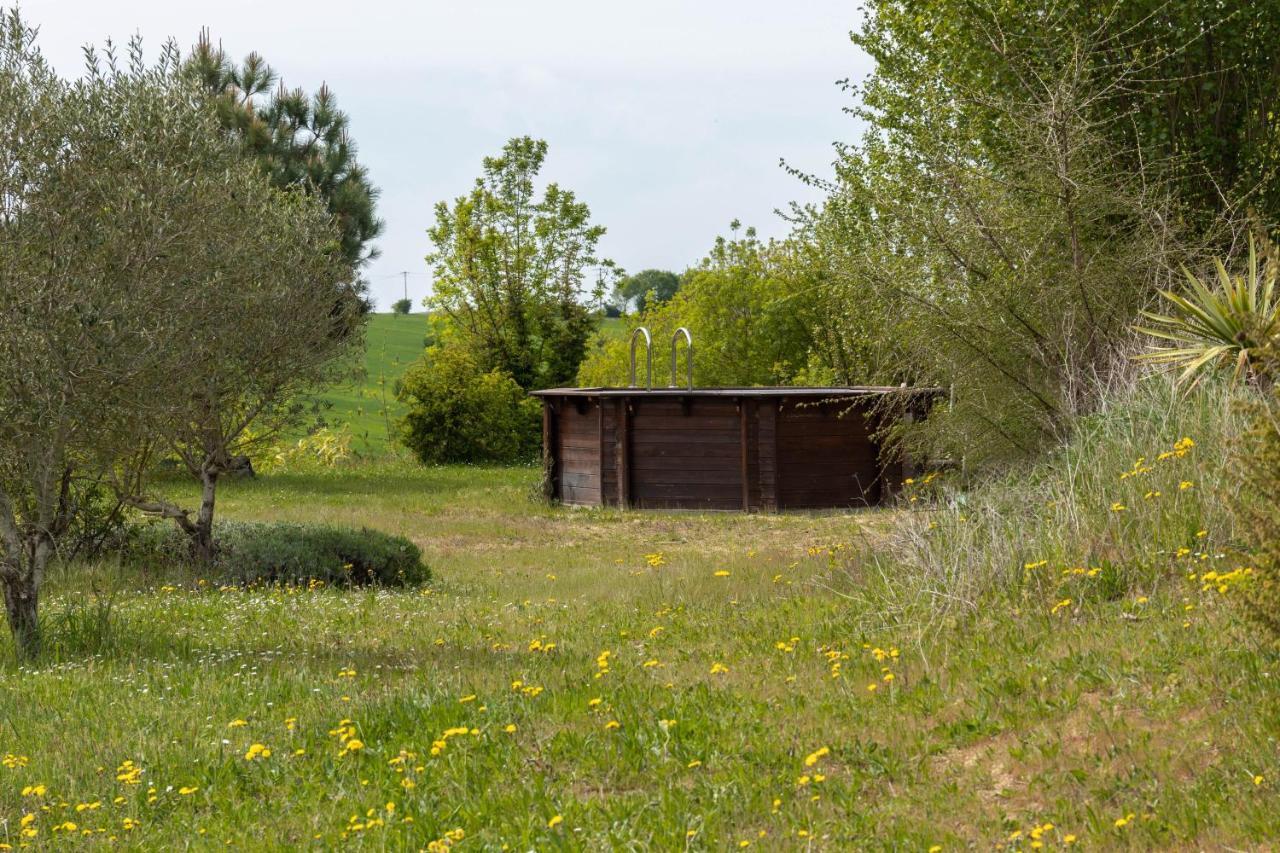 La Decouverte, Jacuzzi, Sauna, Et Terrasse Avec Vue Sur Lac A La Campagne Entre Toulouse Et Auch Villa Catonvielle ภายนอก รูปภาพ