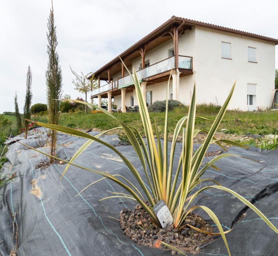 La Decouverte, Jacuzzi, Sauna, Et Terrasse Avec Vue Sur Lac A La Campagne Entre Toulouse Et Auch Villa Catonvielle ภายนอก รูปภาพ